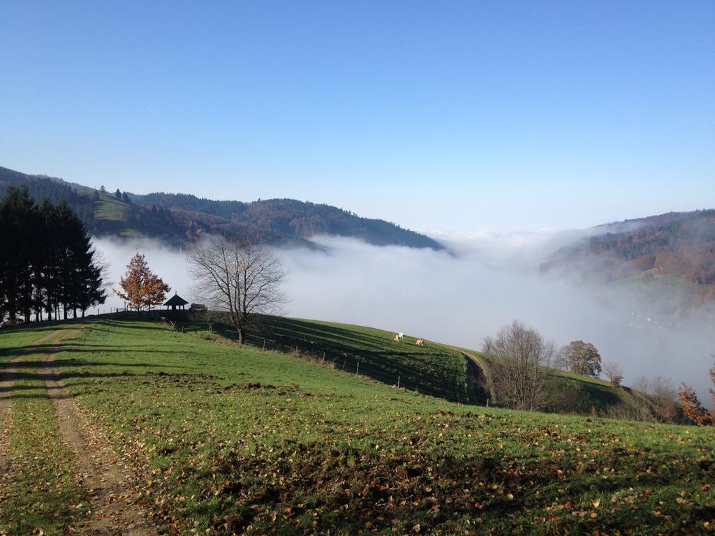 Gasthaus Zum Hirschen Staufen im Breisgau Exteriör bild