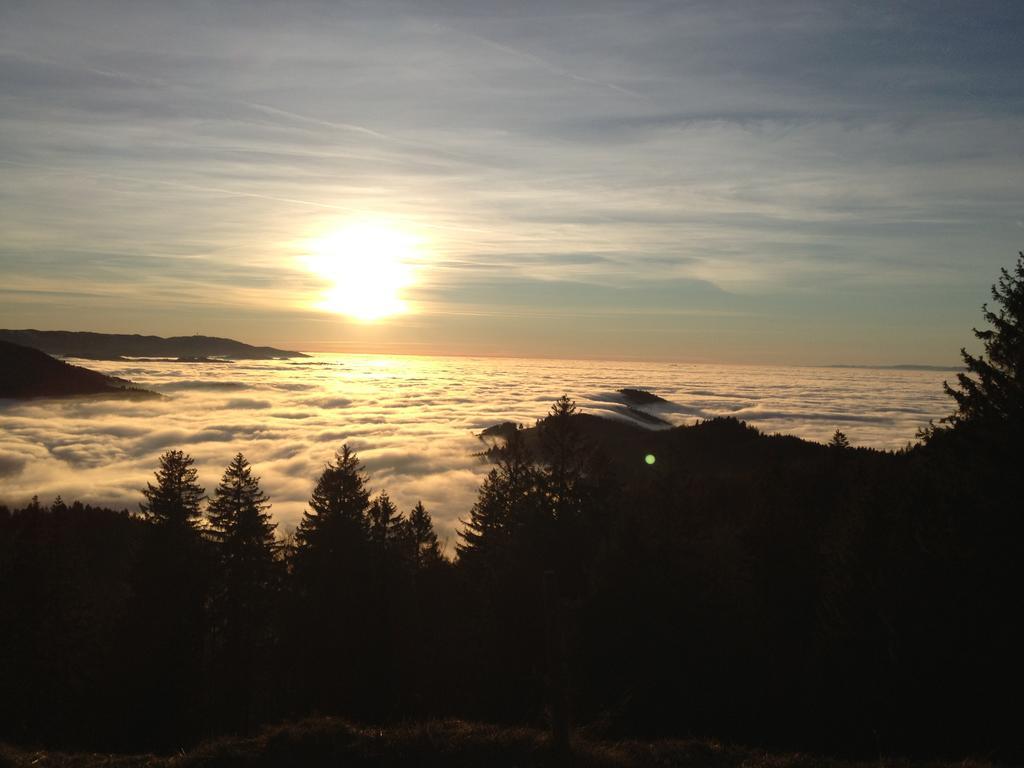 Gasthaus Zum Hirschen Staufen im Breisgau Exteriör bild